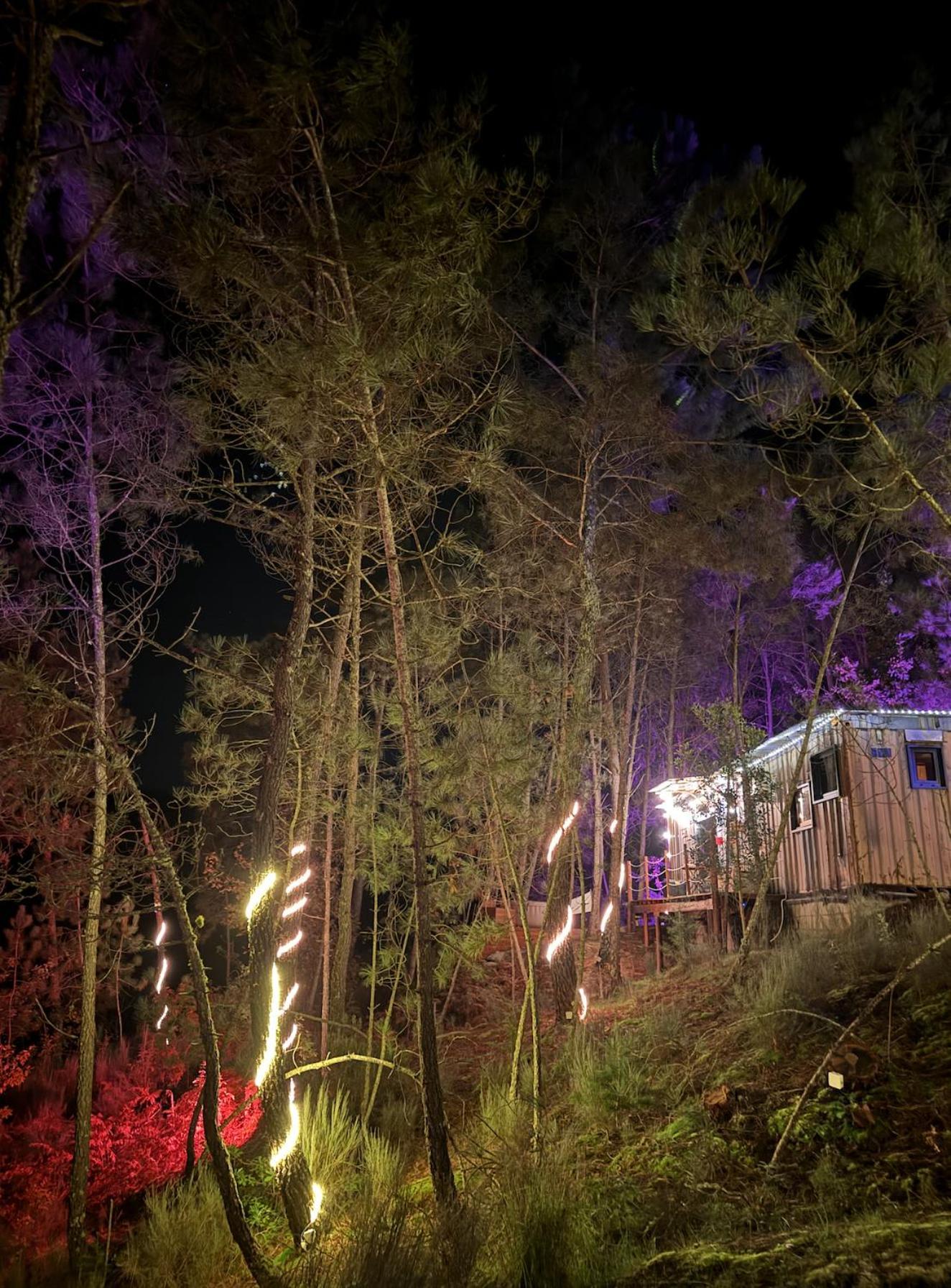 Relax Container Aguiar da Beira Exterior foto